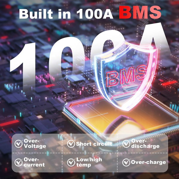 Idzlldi 12V 100Ah Deep Cycle LiFePO4 Battery w/ Low-Temperature Protection